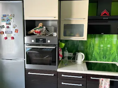 квартира за адресою Кургузова вул., 1а к2