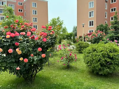 квартира по адресу Леси Украинки бульв., 16