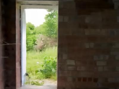 будинок за адресою с. Липники, Лісна