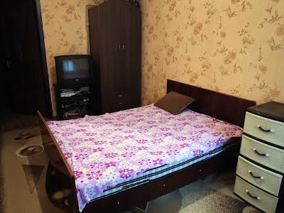 комната по адресу Генерала Петрова ул., 23/2