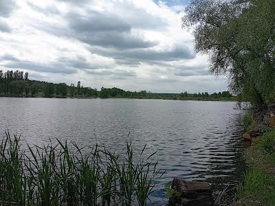 ділянка за адресою с. Миколаївка, 