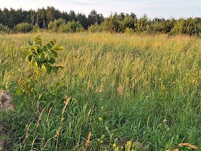 ділянка за адресою Ігнатія Лукасевича вул.