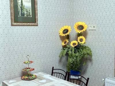квартира за адресою с. Лиманка, Академіка Вільямса вул., 93