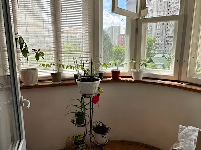 квартира по адресу Анны Ахматовой ул., 3-А
