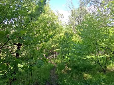 дом по адресу Ходосіївські сади