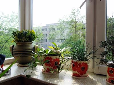 квартира за адресою Професора Підвисоцького вул., 6-А