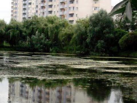 квартира за адресою С.чабаны