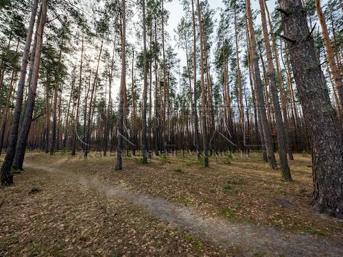 дом по адресу Травнева, 1