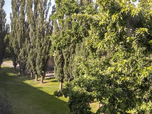 квартира за адресою Чорних Запорожців вул. (Петра Запорожця), 9-А