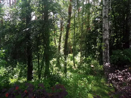 участок по адресу Лісова