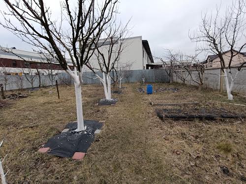 дом по адресу Провулок Різдвяний, 10