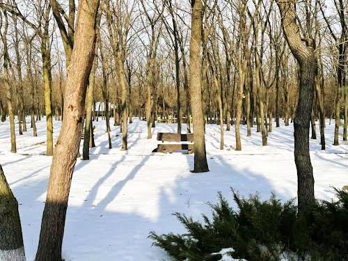 будинок за адресою смт. Обухівка, затишна, 106г