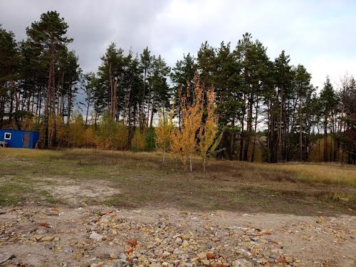 дом по адресу с. Старые петровцы, Лісова