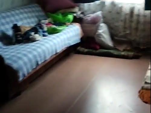 квартира по адресу Академика Королёва ул., 75
