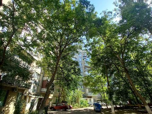 квартира по адресу Добровольского просп., 159