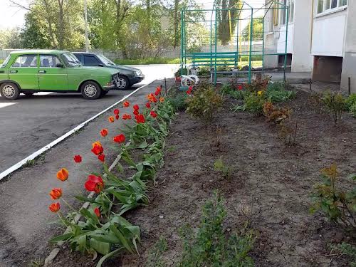 квартира за адресою Цвіткова, 2