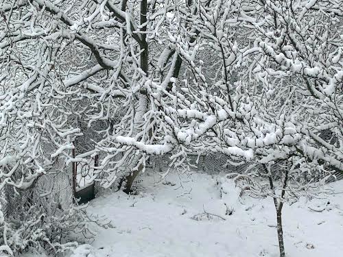 будинок за адресою Чернівці, Димківська