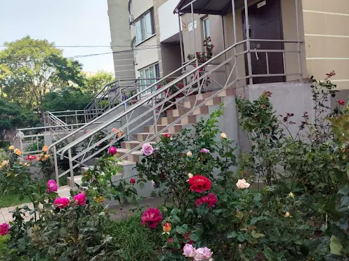 квартира по адресу Шота Руставели ул., 9
