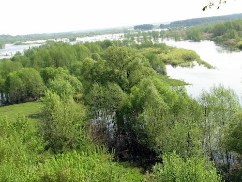 дом по адресу Заозерна, 21