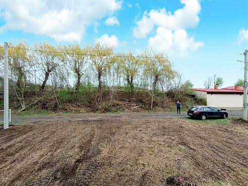 будинок за адресою Селекційний провулок, 12