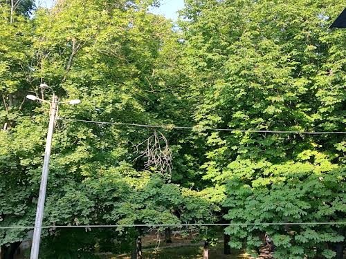 квартира по адресу Генерала Петрова ул., 64