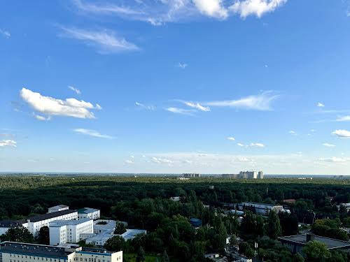 квартира за адресою Київ, Голосіївський просп. (40-річчя Жовтня), 95А