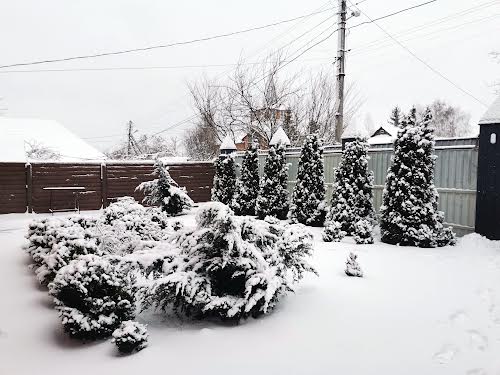 дом по адресу Колонная ул., 50