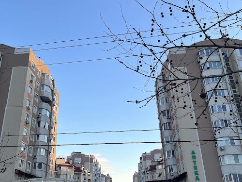квартира по адресу Леси Украинки бульв., 10