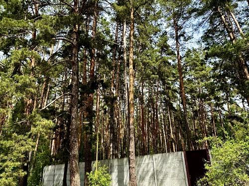 будинок за адресою с. Снов'янка, Зарічна