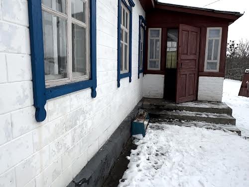 будинок за адресою Нечуя левицького