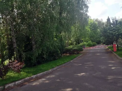 участок по адресу Лісова