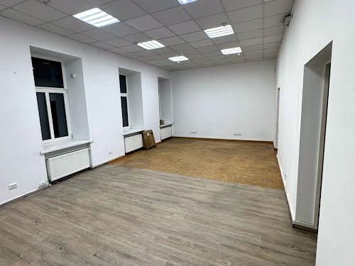 комерційна за адресою Пантелеймона Куліша вул., 24