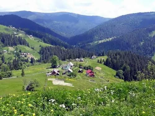 ділянка за адресою Нова, 9