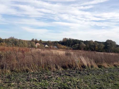 участок по адресу Хмельницкий, С. Карпівці