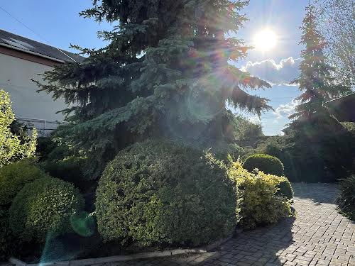 будинок за адресою Шевченко