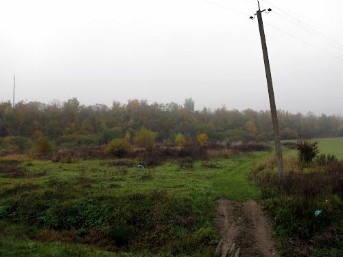 ділянка за адресою Свалява, урочище Мочар