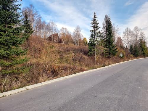 участок по адресу Князя Святослава ул.
