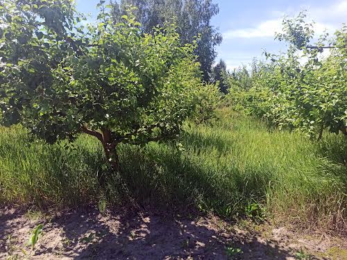 участок по адресу пгт. Литин, Чорновола, 5