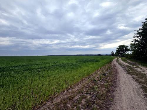ділянка за адресою 