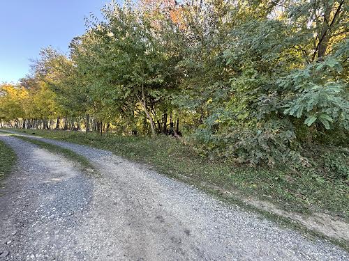 участок по адресу провулок Залізничний, 2