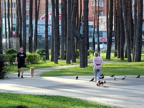 квартира по адресу Университетская ул., 3/9