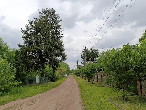 участок по адресу Центральна