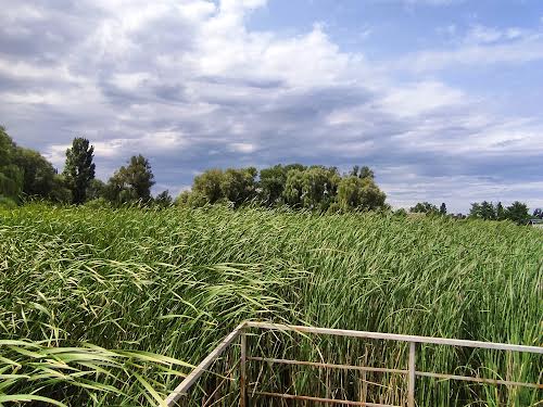 будинок за адресою с. Трушки, Набережна