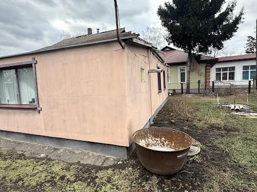 будинок за адресою Каштанова, 36