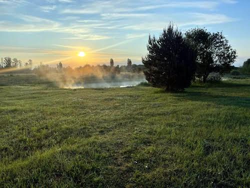 дом по адресу с. Осыково, Горького