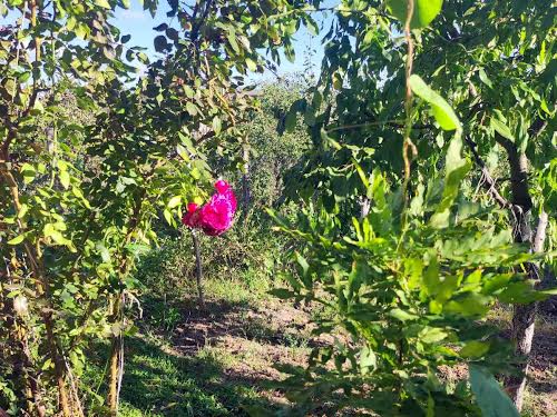 будинок за адресою Компанейска