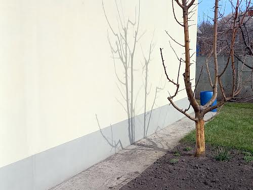 будинок за адресою дружби