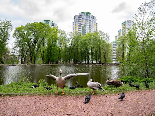 комерційна за адресою Байди-Вишневецького вул. (Осиповського), 1а