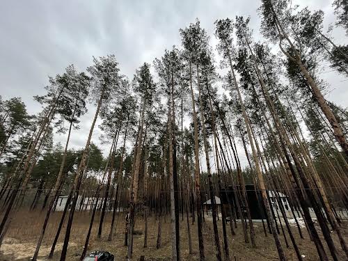 будинок за адресою Лісова