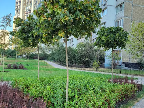 комната по адресу Проспект Червоної калини, 17в